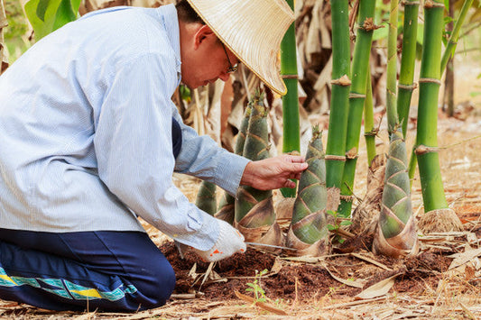 Making A Difference with Environmentally-Friendly Bamboo