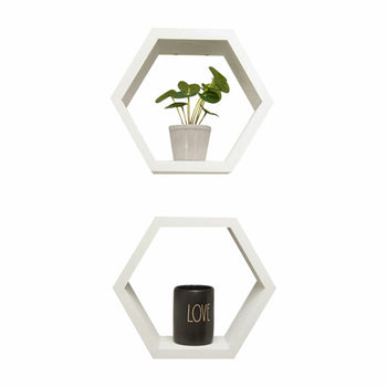Two white hexagon shelves are mounted on a white wall, each containing a decorative item. The top shelf features a small potted plant, while the bottom shelf holds a black container with the word 