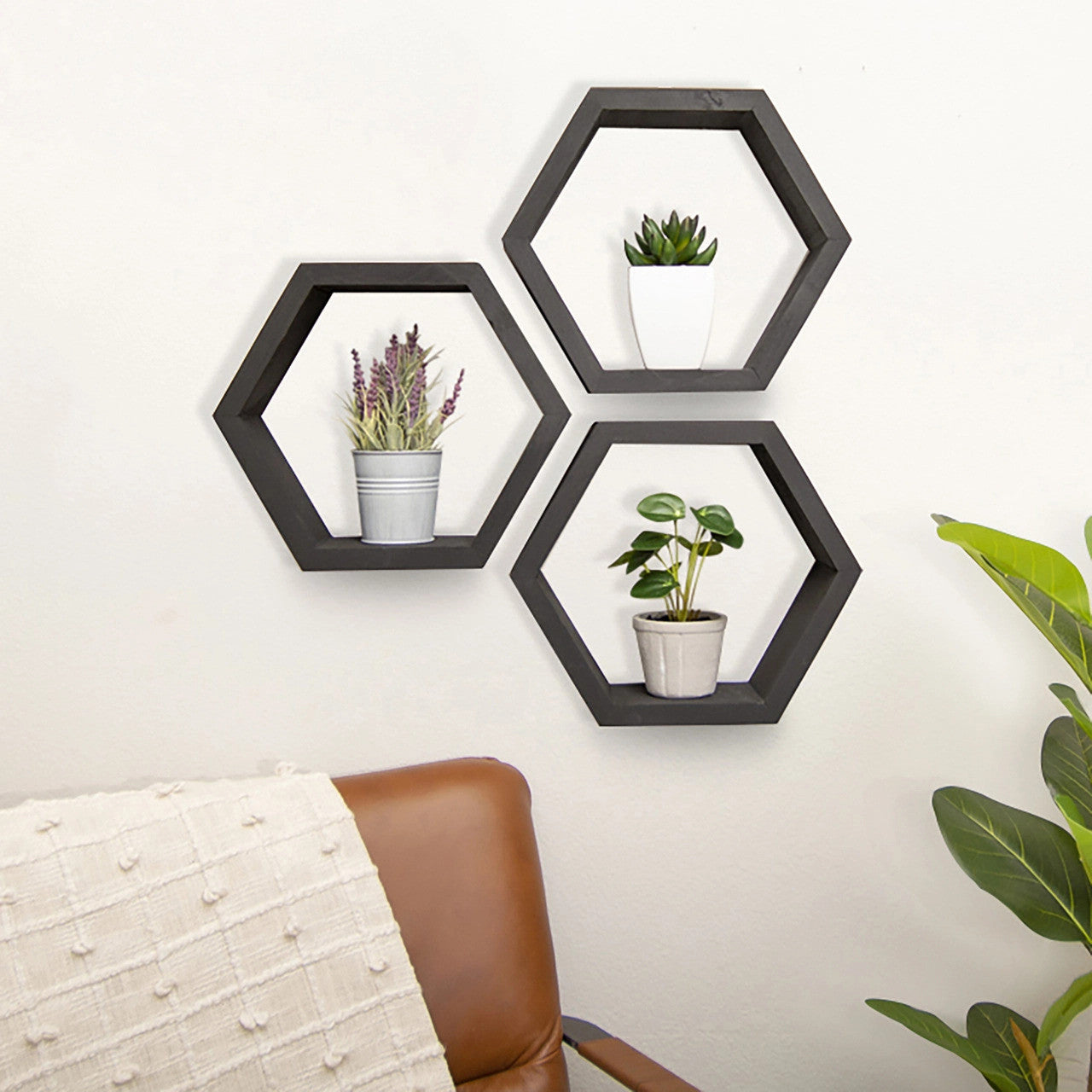 Three black, hexagon-shaped shelves are mounted on a white wall, each containing a small potted plant. The shelves are arranged in a cluster, creating a modern and minimalist display.