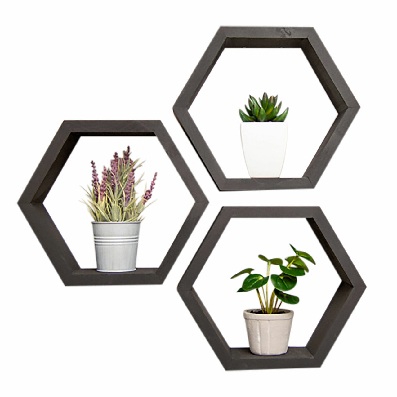 Three black hexagon shelves are mounted on a white wall, each containing a small potted plant. The shelves are arranged in a slightly offset cluster, creating a modern and minimalist display.