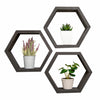 Three black hexagon shelves are mounted on a white wall, each containing a small potted plant. The shelves are arranged in a slightly offset cluster, creating a modern and minimalist display.
