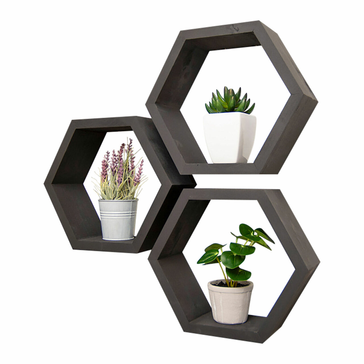 A trio of hexagonal shelves in a dark finish creates a geometric display on a white wall. Each shelf holds a small potted plant, adding a touch of greenery to the minimalist arrangement.