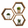Three interconnected hexagon shelves made of dark wood are mounted on a white wall, each containing a small potted succulent. The shelves are arranged in a slightly offset vertical line.