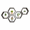 A set of five hexagonal shelves are mounted on a white wall, each containing a small potted plant. These are black shelves and arranged in a cluster, creating a honeycomb-like pattern.