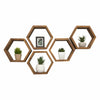 A set of six wooden hexagonal wall shelves arranged in a honeycomb pattern, holding small potted plants and a framed picture. The shelves have a rustic brown finish and are mounted on a white background.