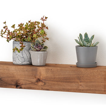 A rustic, solid wood floating shelf adds a touch of natural warmth to a minimalist white wall. Three small succulent planters are arranged on the shelf.
