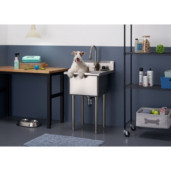 A small, white and brown terrier dog sits inside a stainless steel utility sink with a gooseneck faucet. The sink is positioned in a room with blue and white walls, a wooden table with pet supplies, and a black wire shelving unit holding various items.