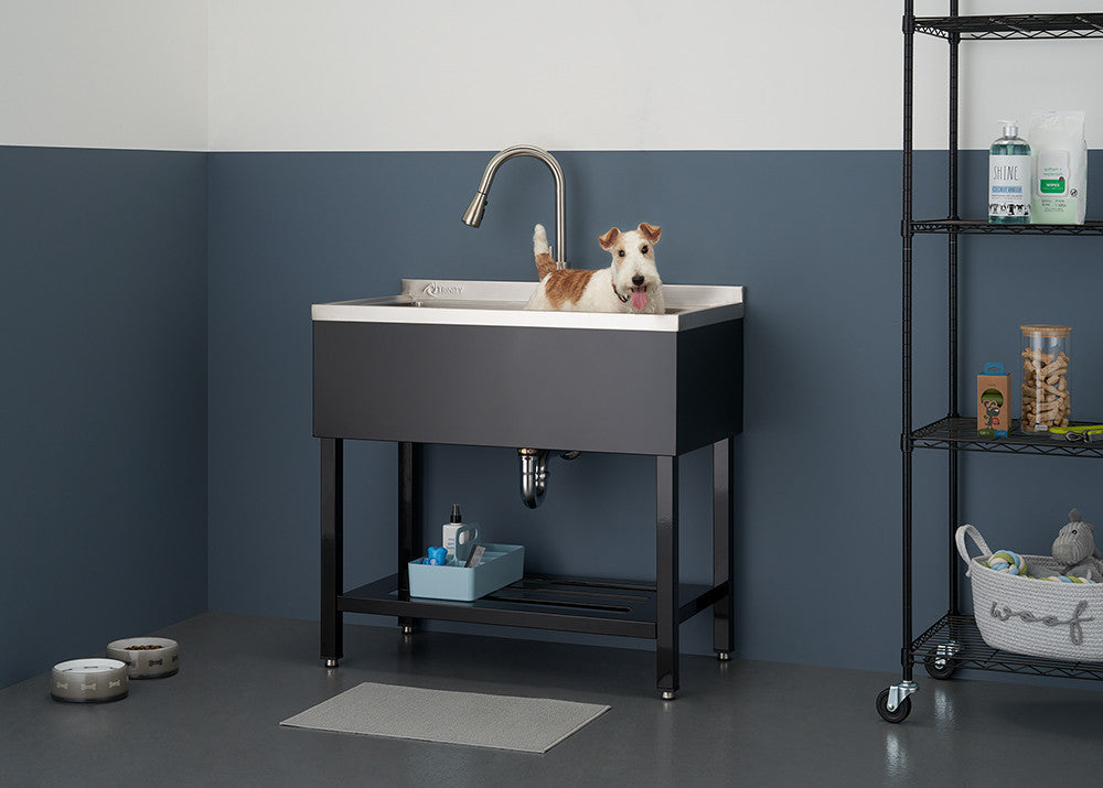 A medium-sized dog stands in a stainless steel utility sink with a faucet, looking directly at the viewer. The sink is dark gray with a stainless steel basin and is set on a metal stand with a shelf.