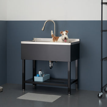 A medium-sized dog stands in a stainless steel utility sink with a faucet, looking directly at the viewer. The sink is dark gray with a stainless steel basin and is set on a metal stand with a shelf.